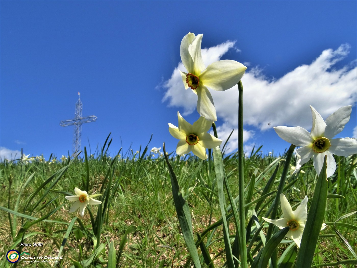 47 Alla croce di vetta del Linzone (1392 m) tra i narcisi.JPG